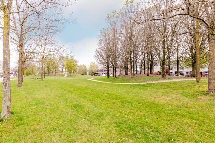 Foto 3 van Delfland 15