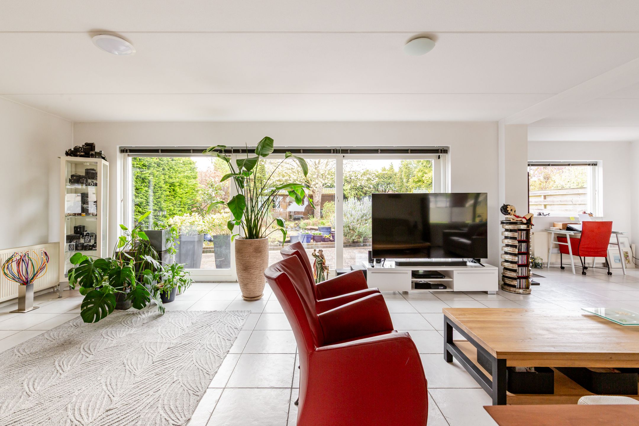 Foto 6 van Delfland 15