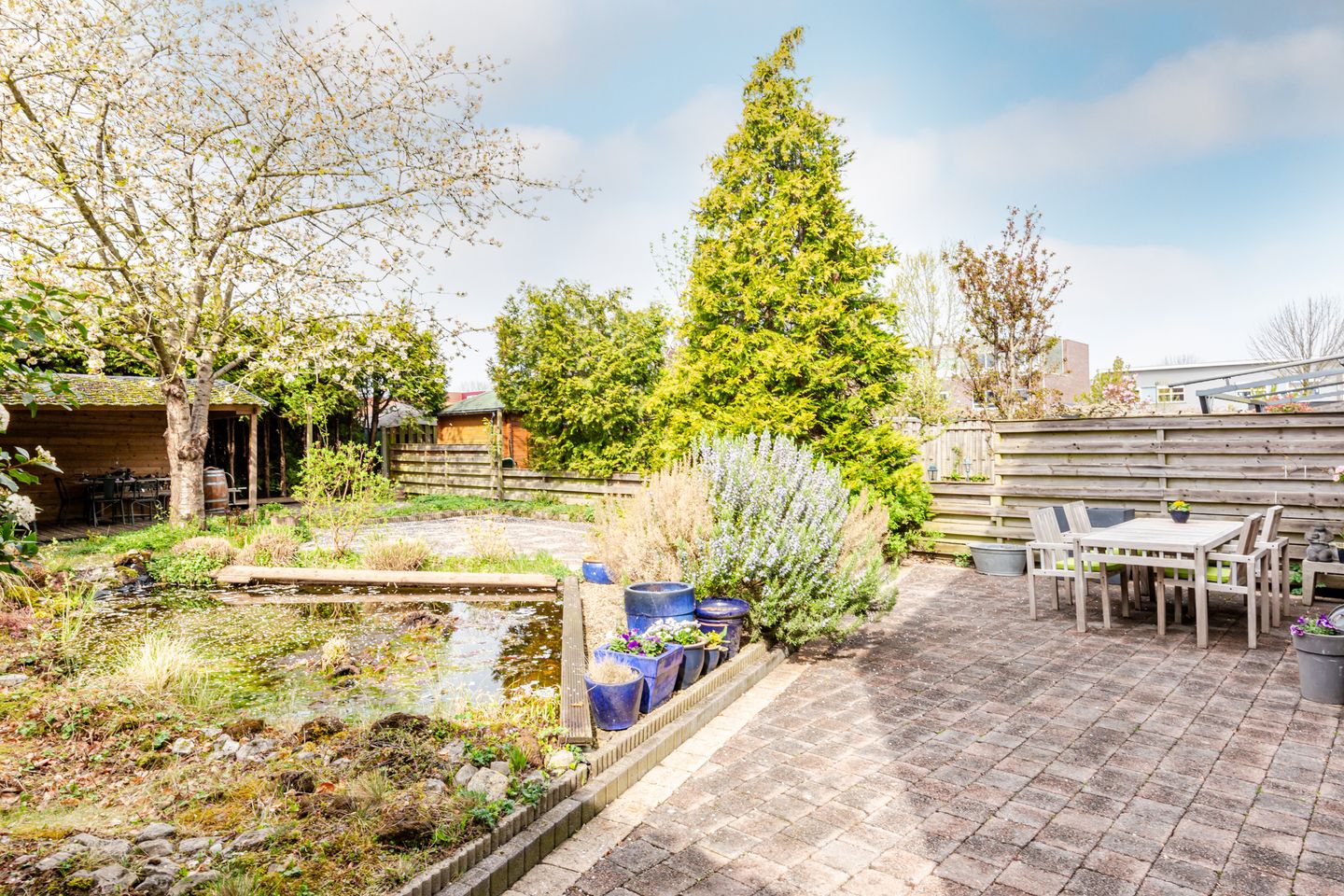 Foto 29 van Delfland 15