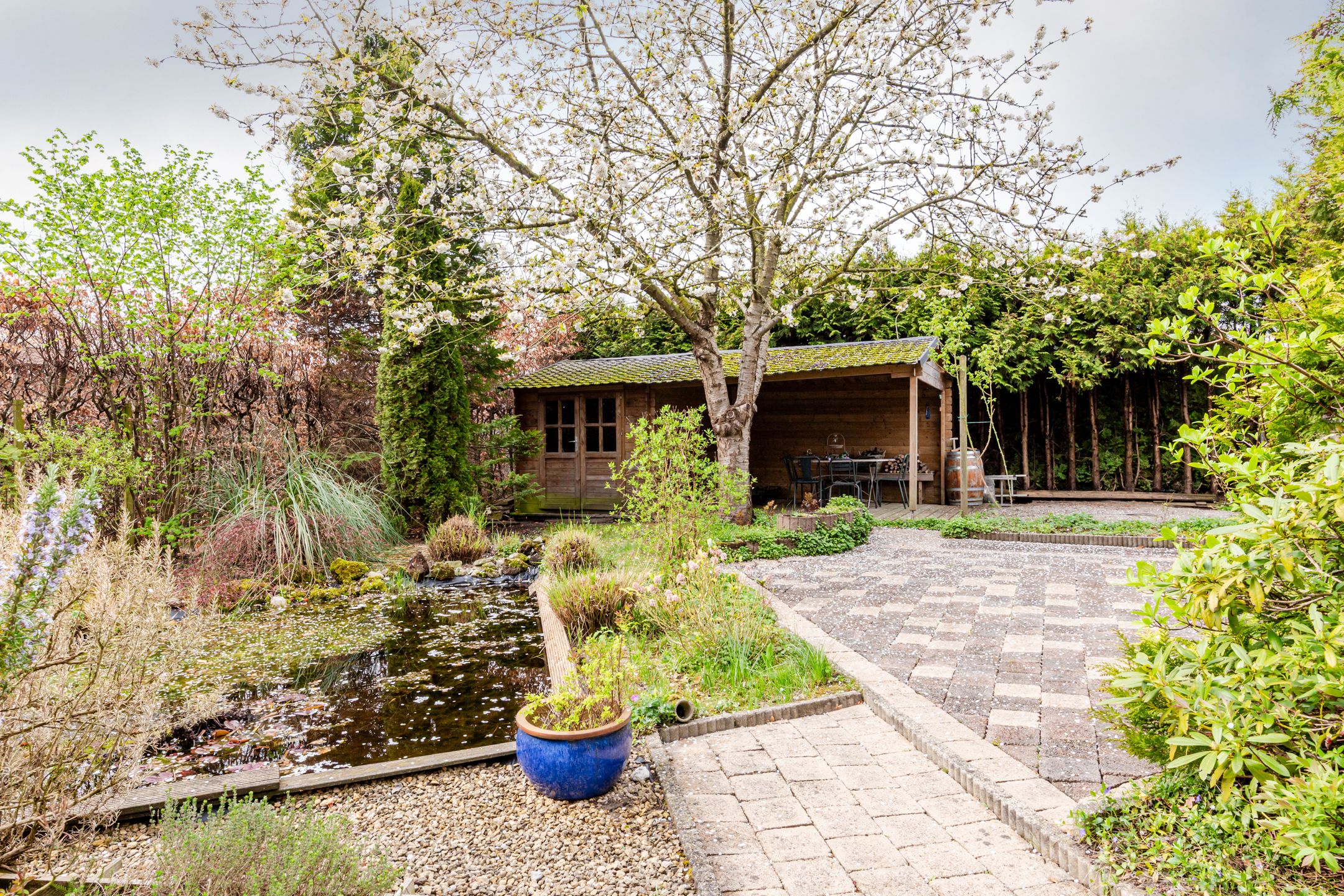 Foto 30 van Delfland 15