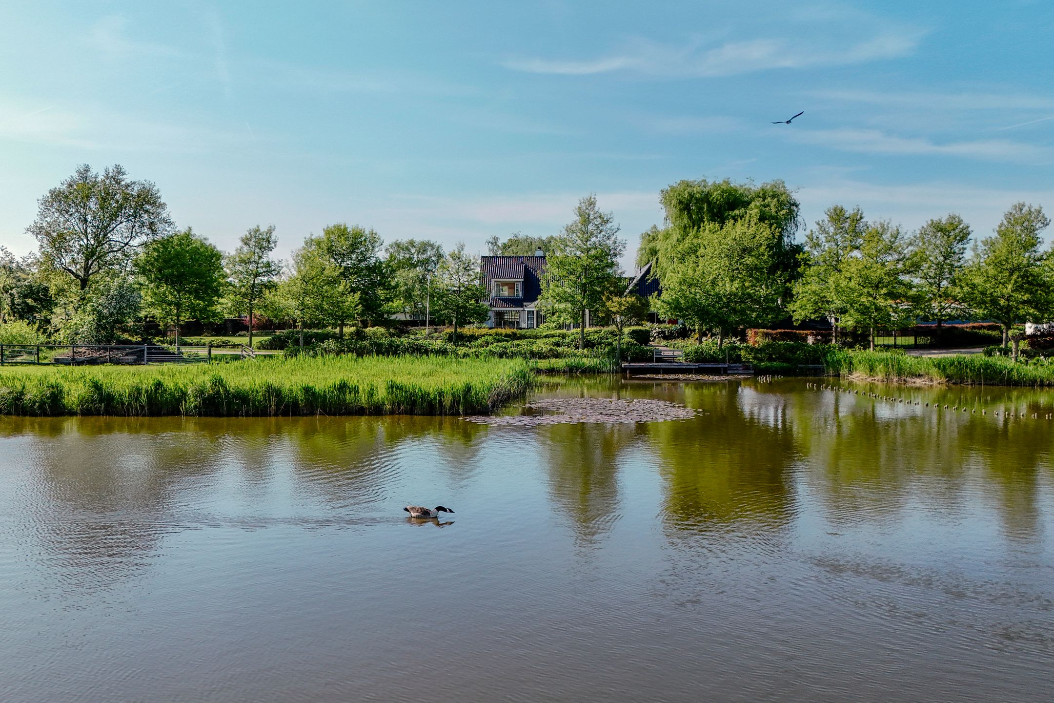 Foto 60 van Kniplaan 7