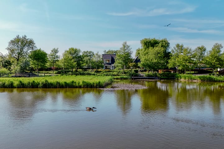 Photo 60 of Kniplaan 7