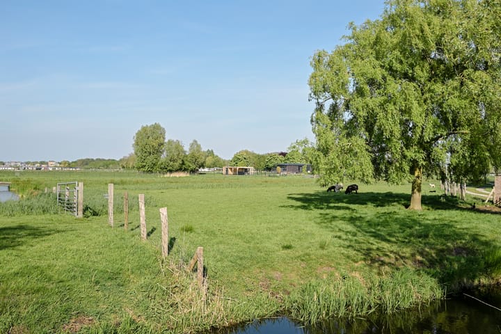 Photo 71 of Kniplaan 7