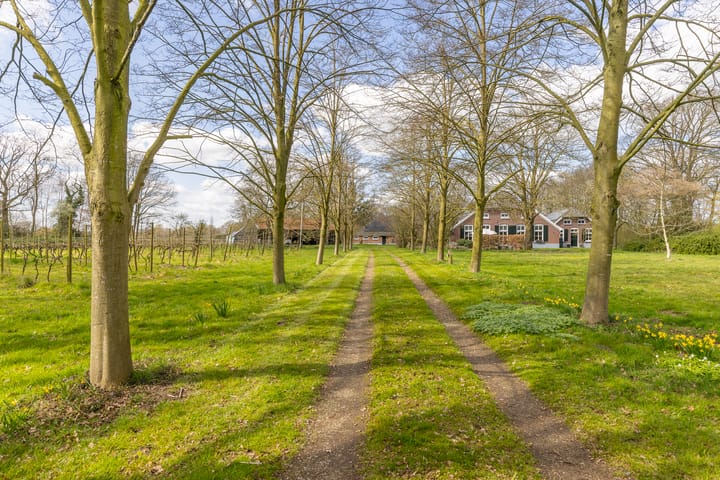 Foto 66 van Lankhorsterweg 13