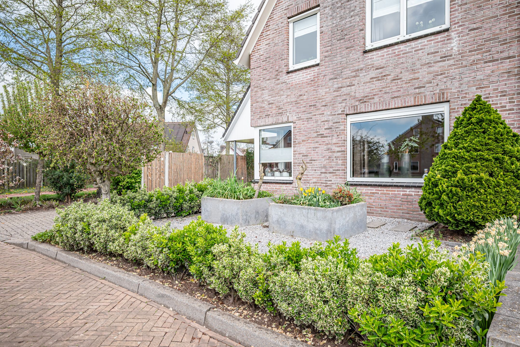 Foto 3 van Graspieper 5