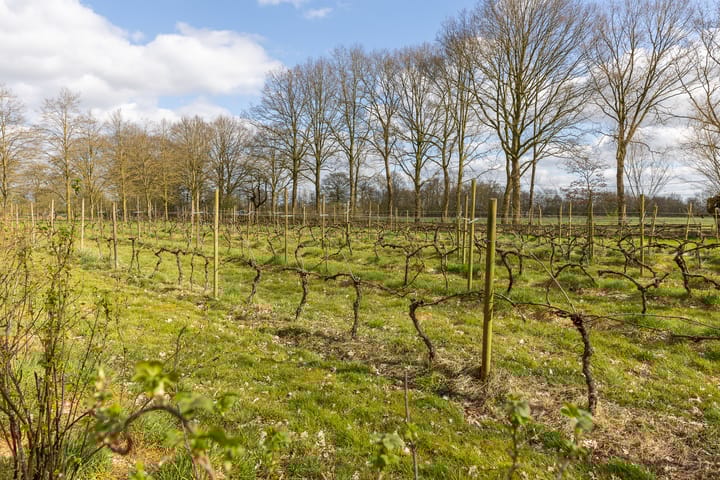 Foto 71 van Lankhorsterweg 13