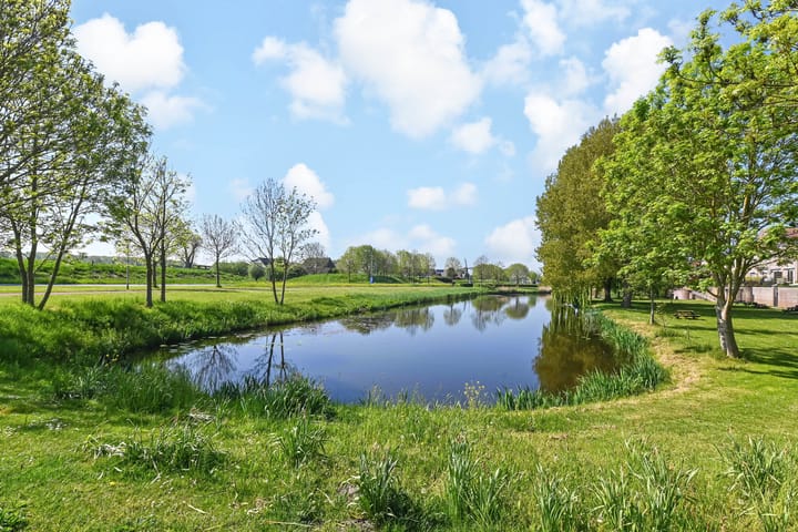 Foto 43 van Egelantier 38