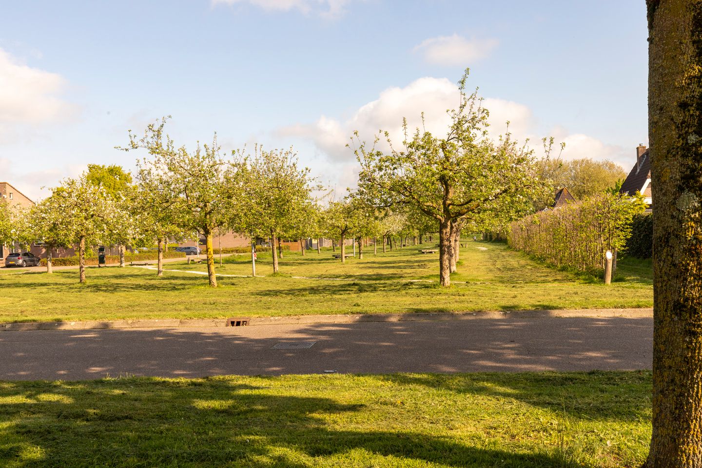 Foto 5 van Jacob Ruisdaelstraat 13