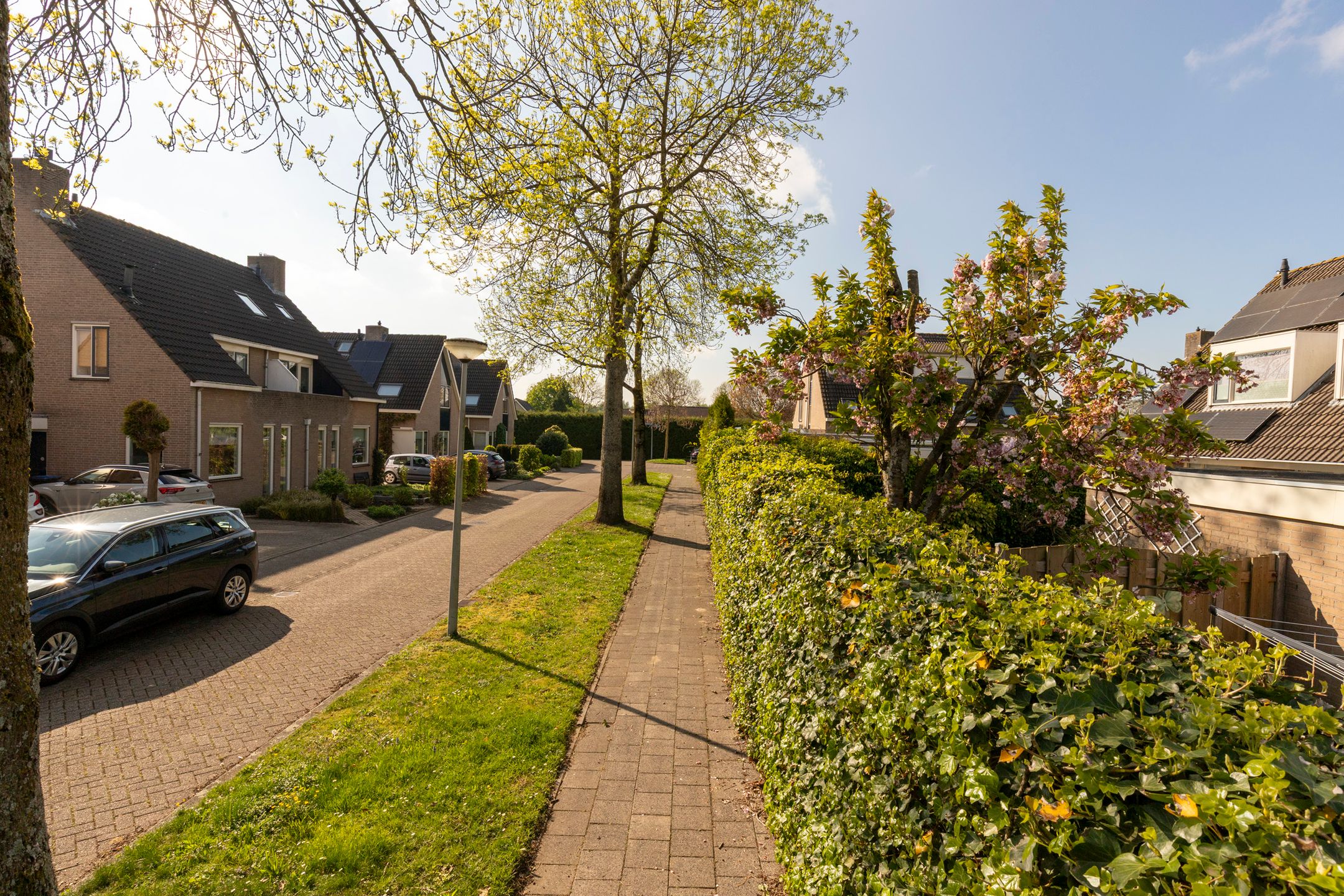 Foto 6 van Jacob Ruisdaelstraat 13