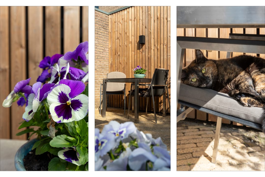 Foto 28 van Jacob Ruisdaelstraat 13