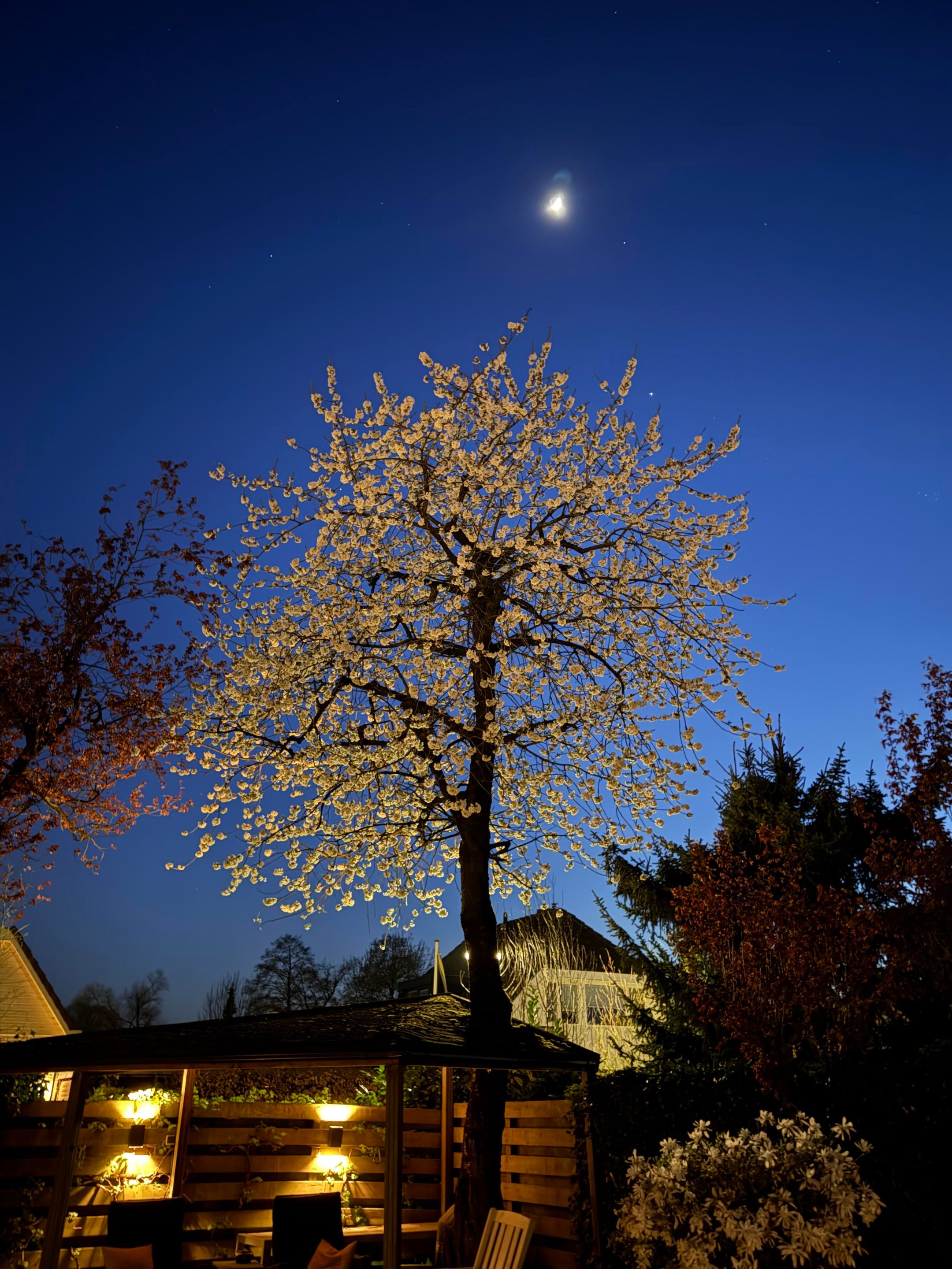 Foto 33 van Jacob Ruisdaelstraat 13