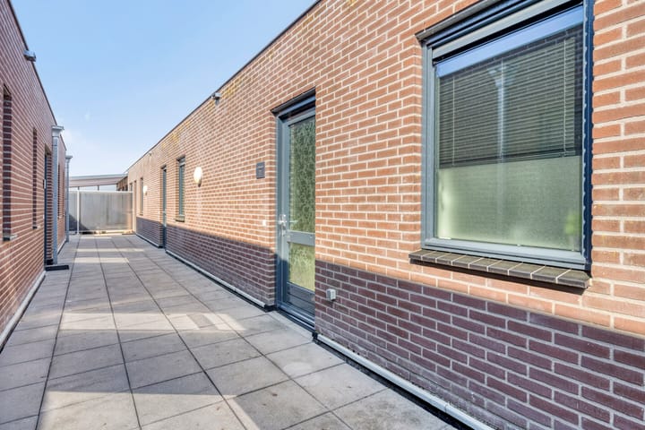 Foto 12 van Krabbenplas 11