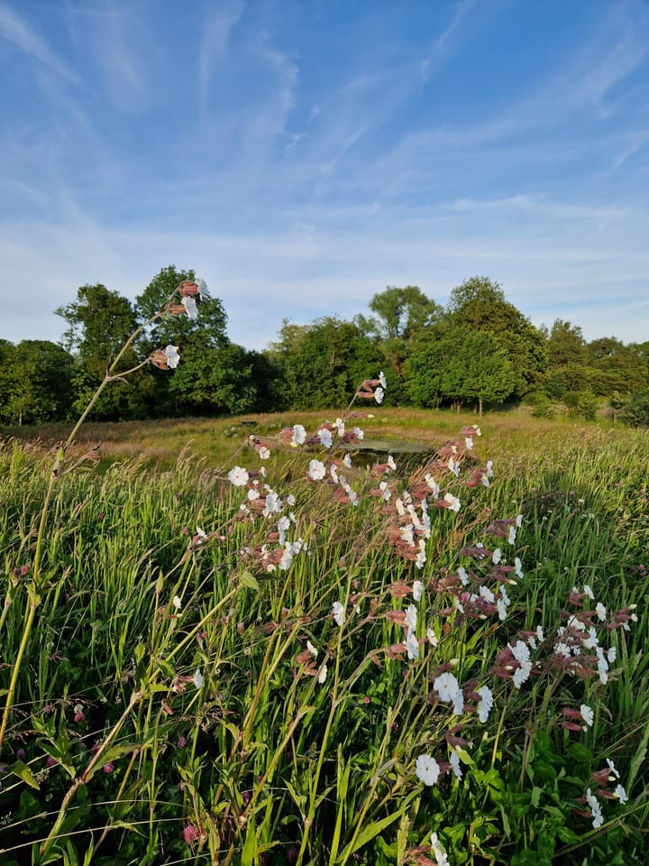 Foto 54 van Oude Goorseweg 4