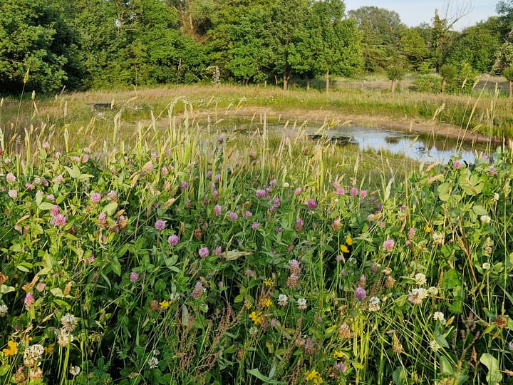 Foto 55 van Oude Goorseweg 4