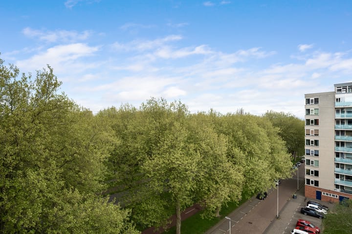 Foto 13 van Prinsenlaan 254