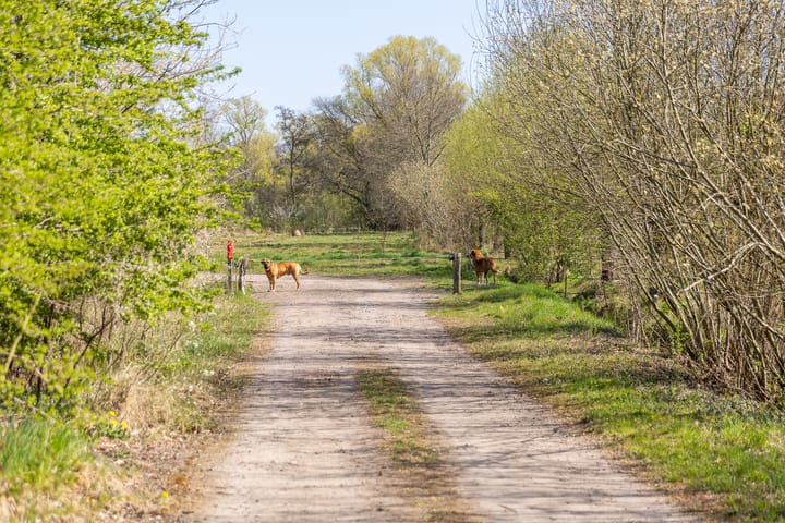 Foto 58 van Oude Goorseweg 4