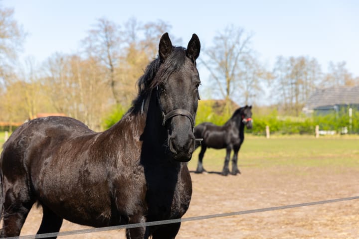Foto 59 van Oude Goorseweg 4