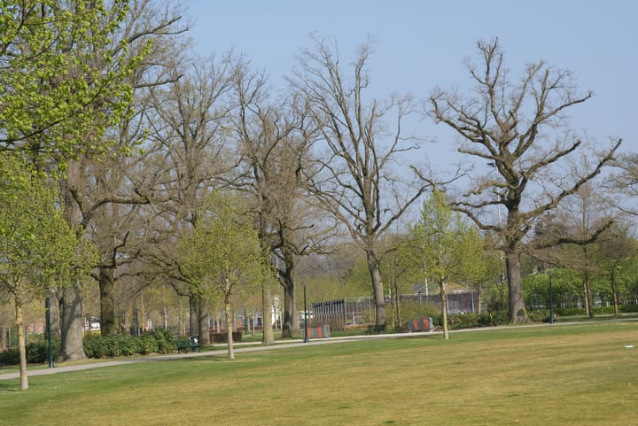 Foto 41 van Hengelosestraat 144