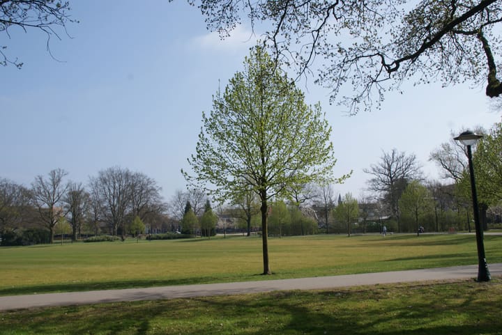 Foto 42 van Hengelosestraat 144