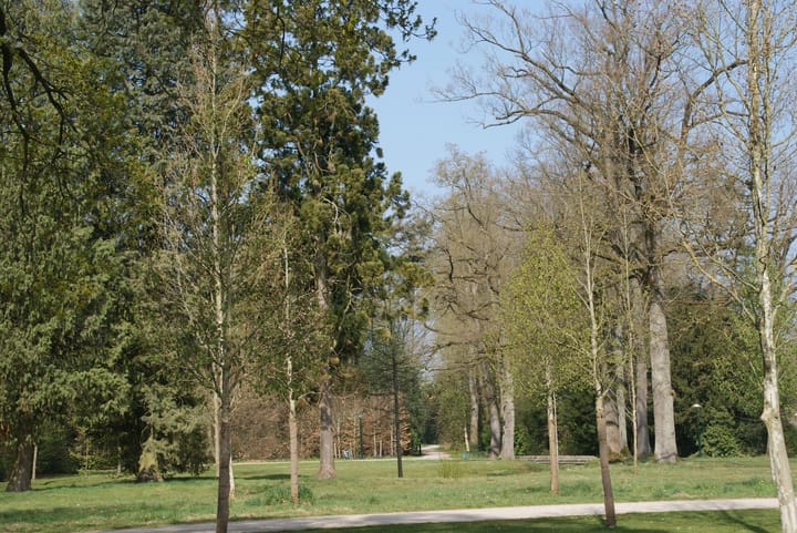 Foto 43 van Hengelosestraat 144