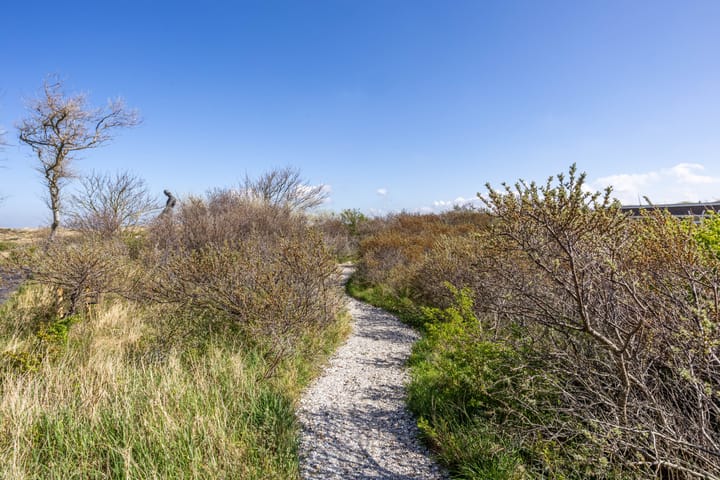 Foto 57 van Zwartendijk 7