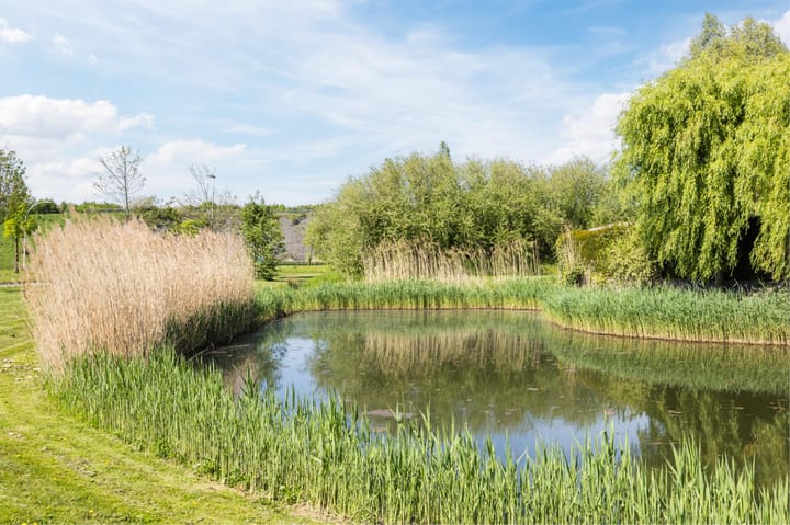 Foto 40 van Van Duin-akker 20