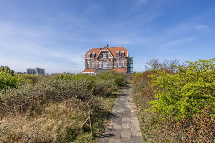 Foto 74 van Zwartendijk 7