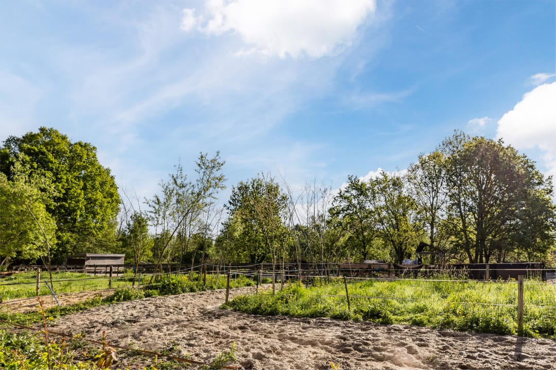 Foto 23 van Winklerlaan 124