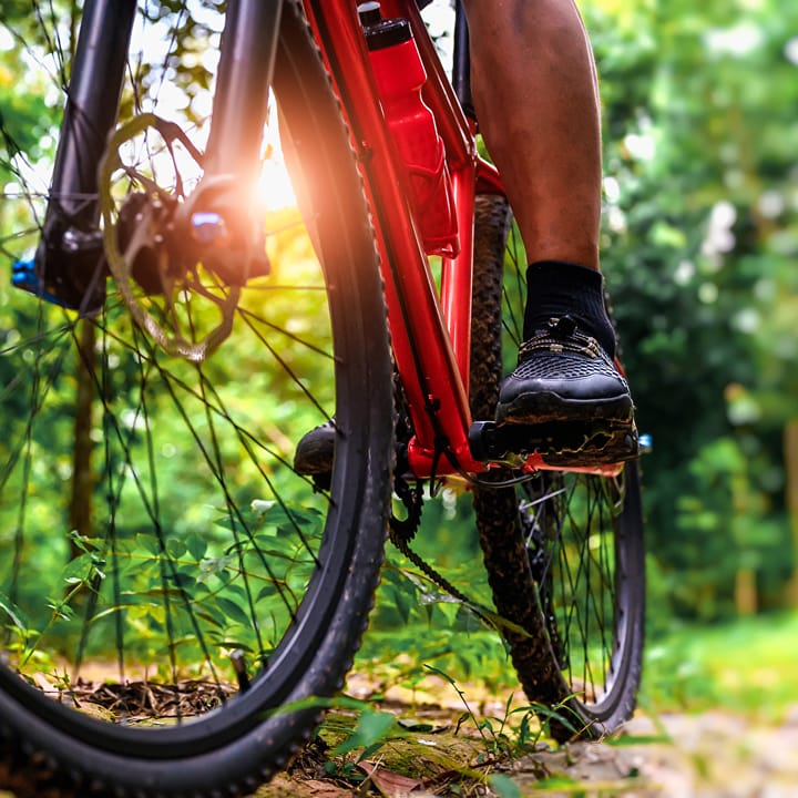 Foto 13 van Hoflaan - Bosstudio 2P