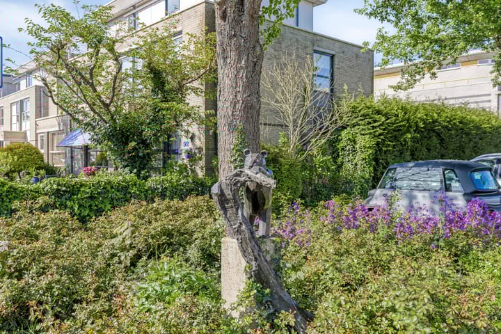 Photo 34 of Reuzenpandasingel 98