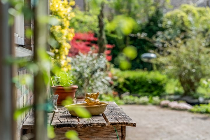 Foto 54 van Kerkstraat 24