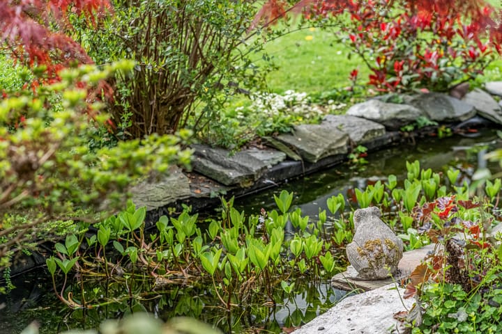 Foto 57 van Kerkstraat 24