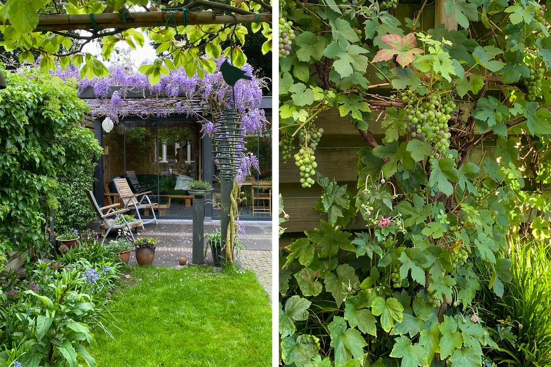 Foto 37 van Huygensstraat 22