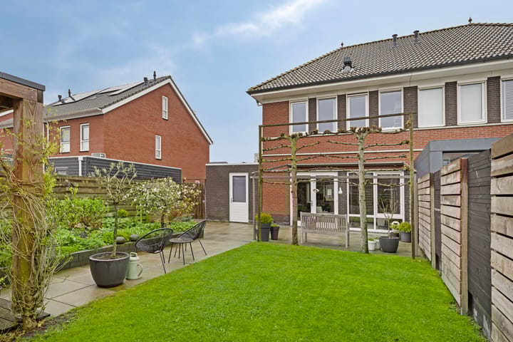 Photo 3 of Meerkoet 17