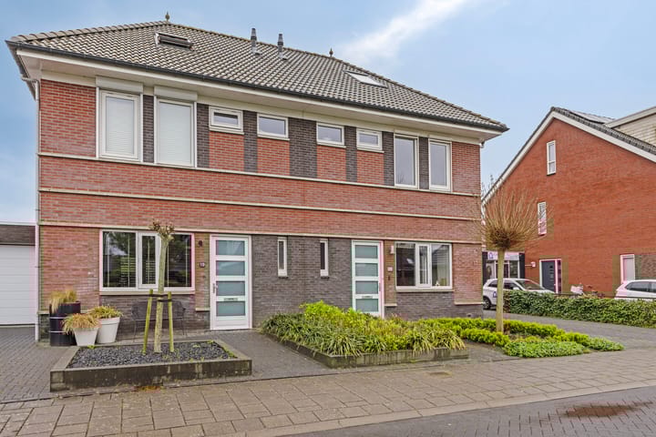 Photo 4 of Meerkoet 17