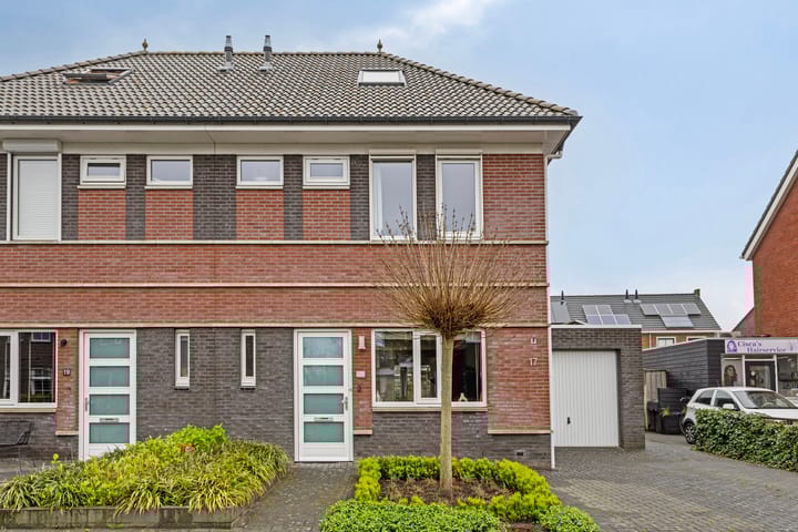 Photo 5 of Meerkoet 17