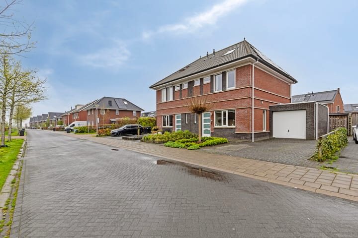 Photo 6 of Meerkoet 17