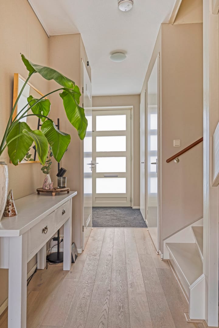 Photo 7 of Meerkoet 17