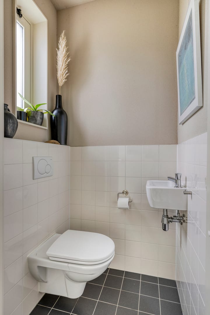 Photo 8 of Meerkoet 17