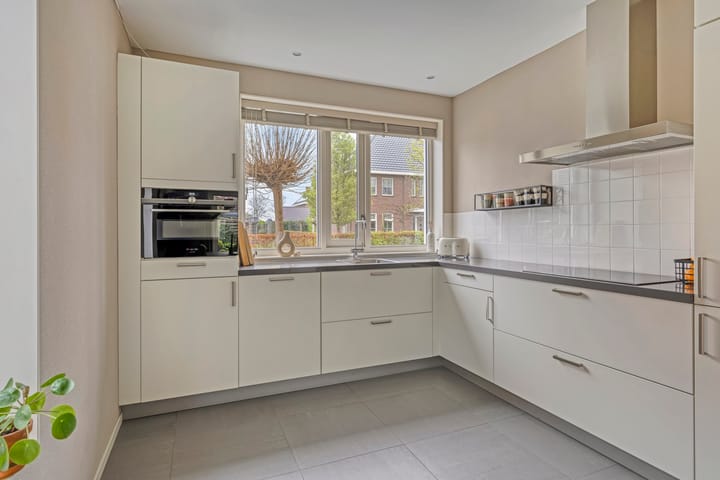 Photo 14 of Meerkoet 17