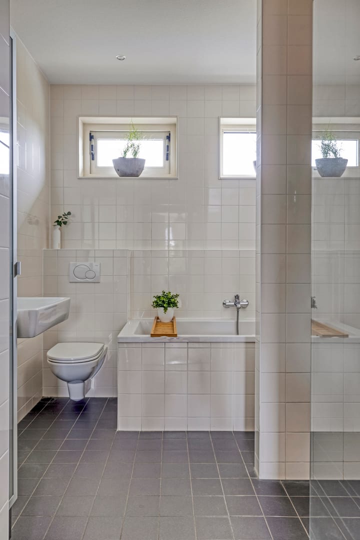 Photo 20 of Meerkoet 17