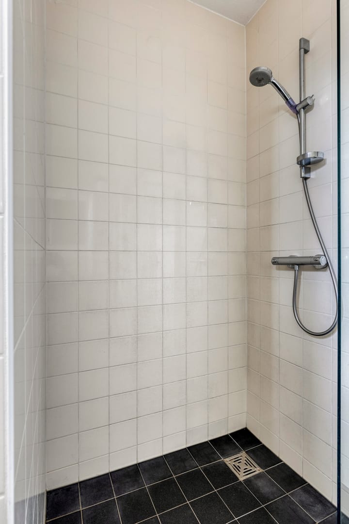 Photo 21 of Meerkoet 17