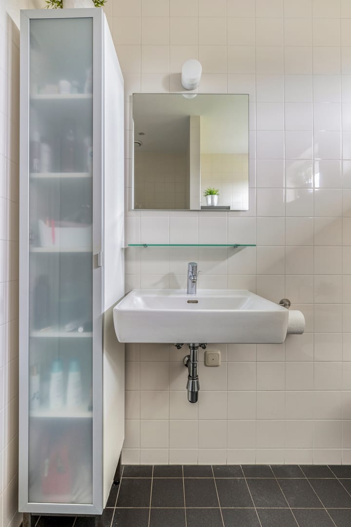 Photo 22 of Meerkoet 17