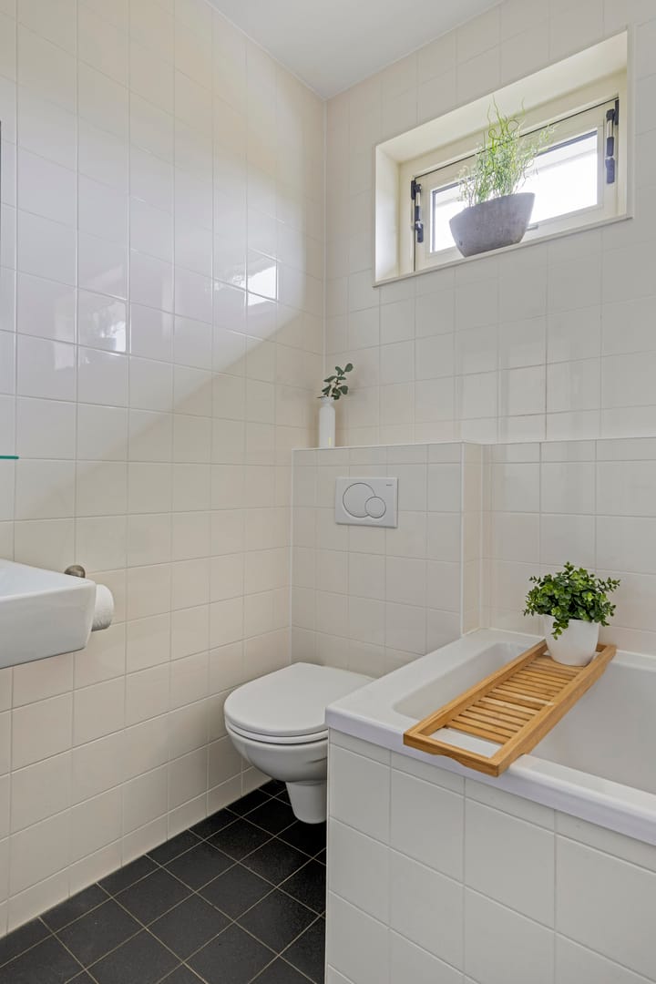 Photo 23 of Meerkoet 17