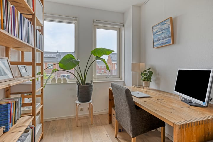 Photo 25 of Meerkoet 17