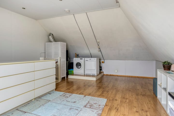 Photo 28 of Meerkoet 17