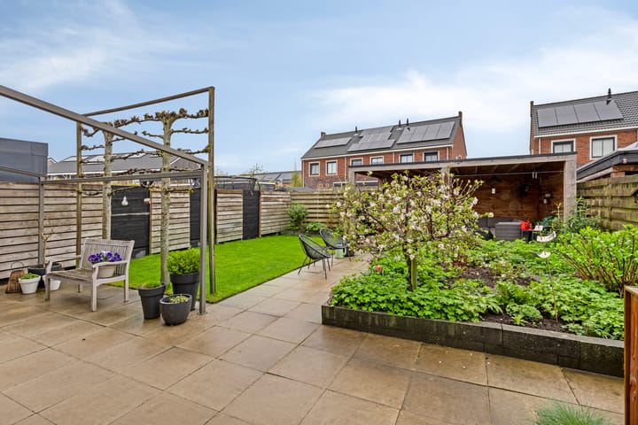 Photo 29 of Meerkoet 17