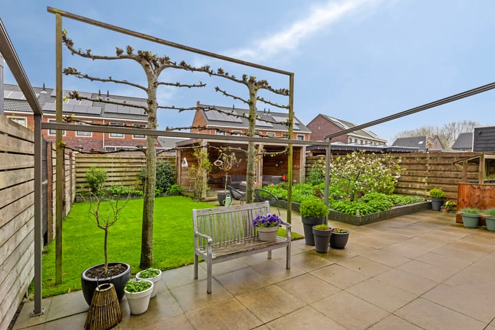 Photo 30 of Meerkoet 17