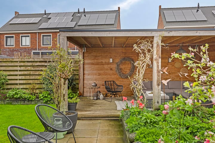 Photo 31 of Meerkoet 17