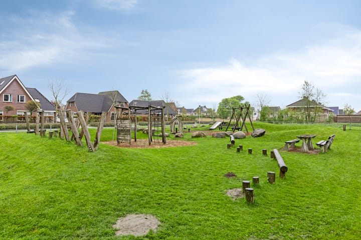 Photo 34 of Meerkoet 17